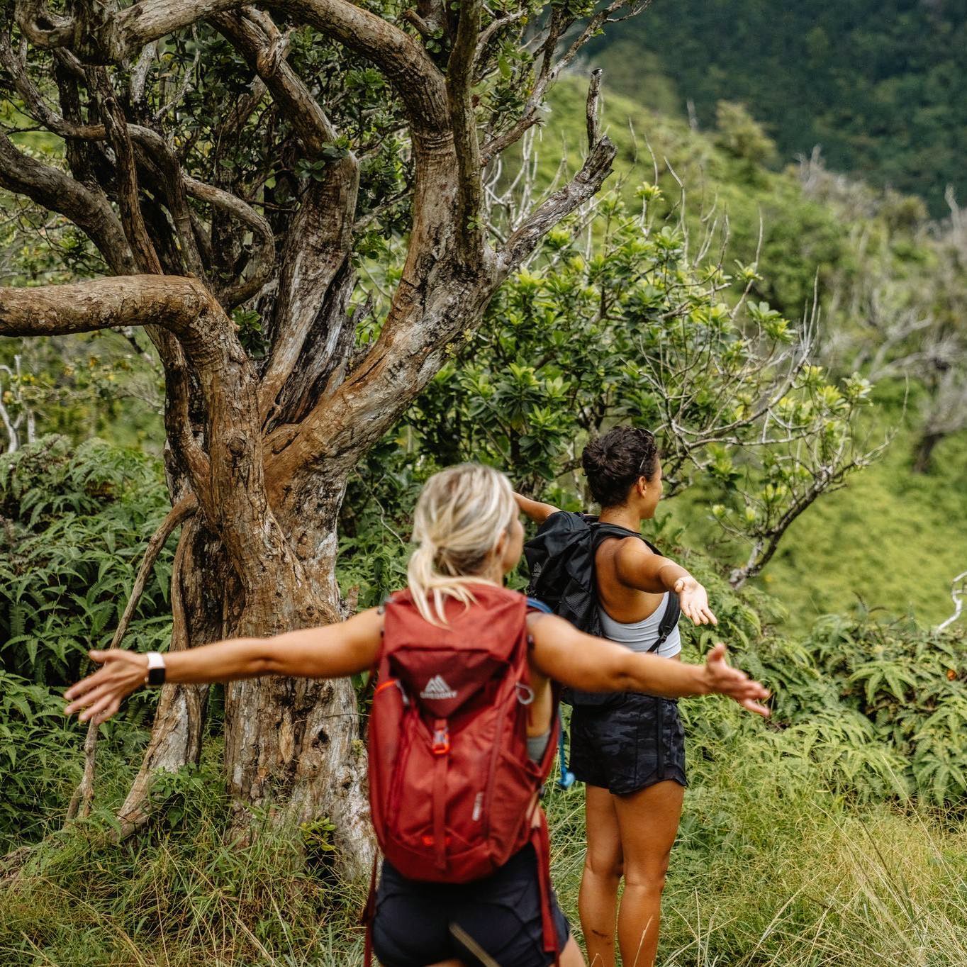 hiking packs nz